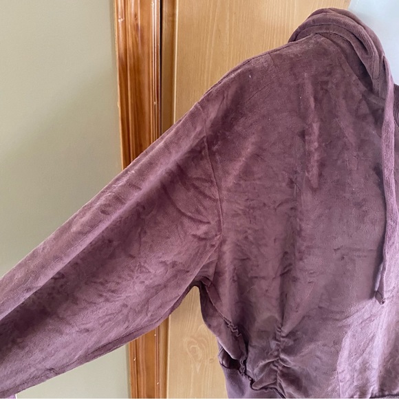 Urban Outfitters • Slouchy Vail Velour Hoodie Sweatshirt in Mauve - Picture 5 of 13